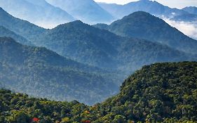 Jungle Park Resort-Rain Forest Experience By Greenescapes